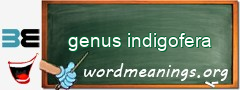 WordMeaning blackboard for genus indigofera